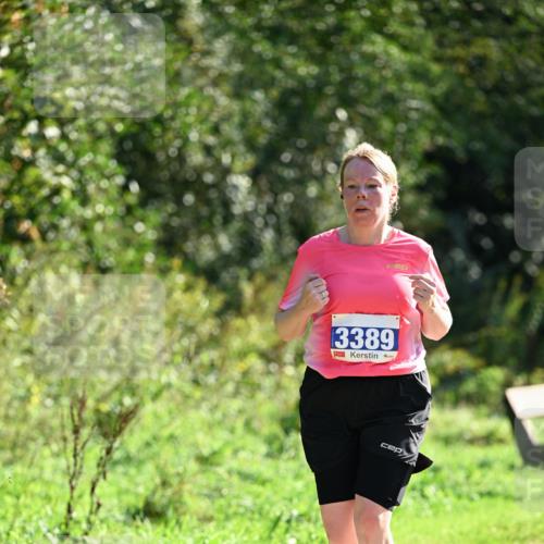 27.09.2026 - 35. Volkslauf durch das schöne Alstertal Dr. Thomas Lammeyer http://msf.ph/oto/10574797 27.09.2026 11:34:58 Laufen 3389 meine-sportfotos.de