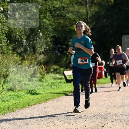 27.09.2026 - 35. Volkslauf durch das schöne Alstertal Dr. Thomas Lammeyer http://msf.ph/oto/10574830 27.09.2026 11:35:10 Laufen 1529 meine-sportfotos.de
