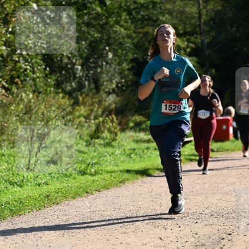 27.09.2026 - 35. Volkslauf durch das schöne Alstertal Dr. Thomas Lammeyer http://msf.ph/oto/10574832 27.09.2026 11:35:10 Laufen 1529, 3038 meine-sportfotos.de