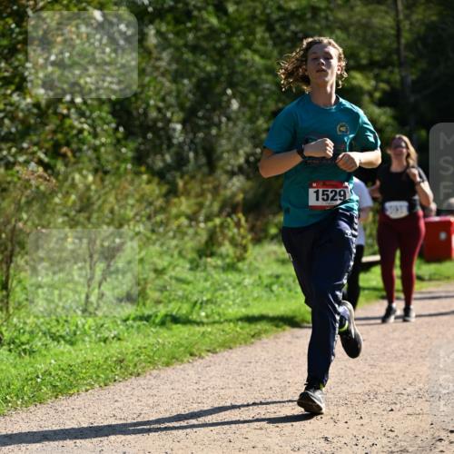 27.09.2026 - 35. Volkslauf durch das schöne Alstertal Dr. Thomas Lammeyer http://msf.ph/oto/10574834 27.09.2026 11:35:10 Laufen 1529 meine-sportfotos.de