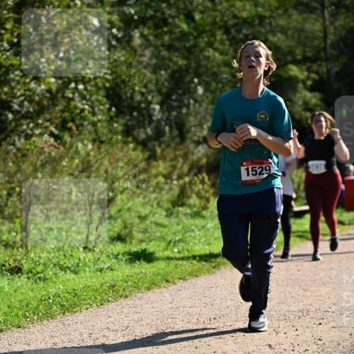 27.09.2026 - 35. Volkslauf durch das schöne Alstertal Dr. Thomas Lammeyer http://msf.ph/oto/10574835 27.09.2026 11:35:10 Laufen 1529 meine-sportfotos.de