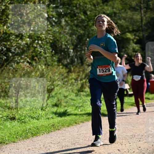 27.09.2026 - 35. Volkslauf durch das schöne Alstertal Dr. Thomas Lammeyer http://msf.ph/oto/10574836 27.09.2026 11:35:10 Laufen 1529 meine-sportfotos.de