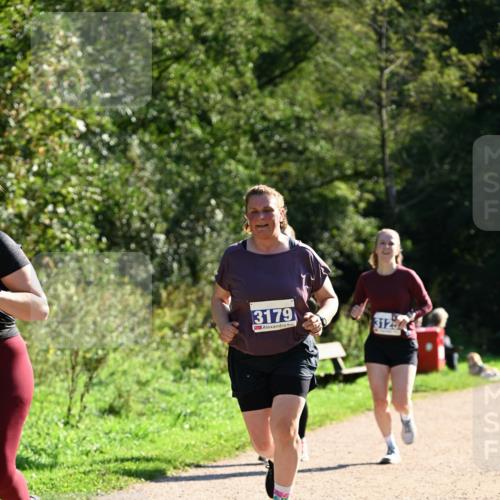 27.09.2026 - 35. Volkslauf durch das schöne Alstertal Dr. Thomas Lammeyer http://msf.ph/oto/10574860 27.09.2026 11:35:14 Laufen 3179, 312 meine-sportfotos.de