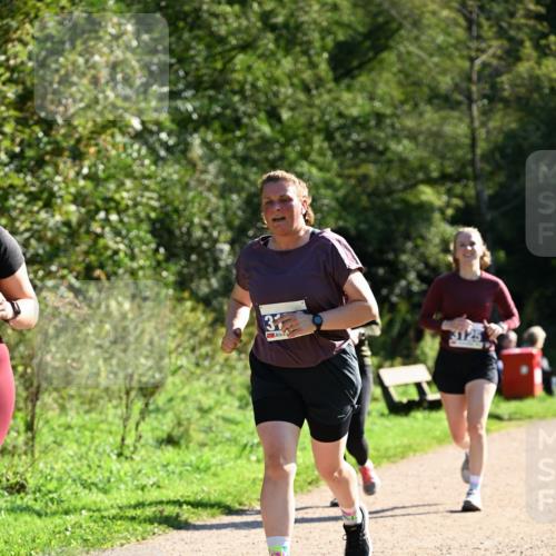 27.09.2026 - 35. Volkslauf durch das schöne Alstertal Dr. Thomas Lammeyer http://msf.ph/oto/10574863 27.09.2026 11:35:14 Laufen  meine-sportfotos.de
