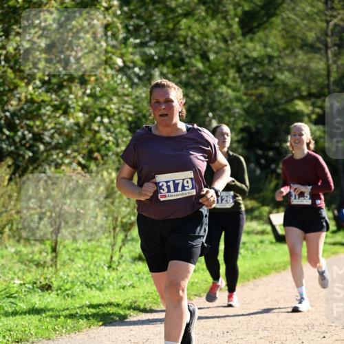 27.09.2026 - 35. Volkslauf durch das schöne Alstertal Dr. Thomas Lammeyer http://msf.ph/oto/10574867 27.09.2026 11:35:14 Laufen 3179, 126 meine-sportfotos.de