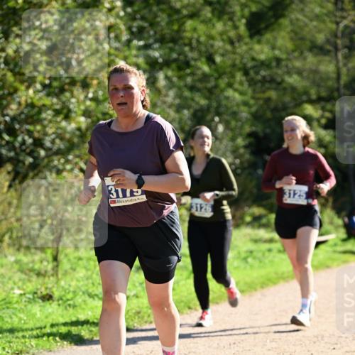 27.09.2026 - 35. Volkslauf durch das schöne Alstertal Dr. Thomas Lammeyer http://msf.ph/oto/10574869 27.09.2026 11:35:15 Laufen 3175, 3126, 3125 meine-sportfotos.de