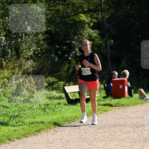 27.09.2026 - 35. Volkslauf durch das schöne Alstertal Dr. Thomas Lammeyer http://msf.ph/oto/10574903 27.09.2026 11:35:27 Laufen 3088 meine-sportfotos.de