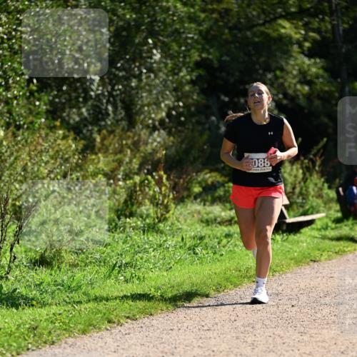 27.09.2026 - 35. Volkslauf durch das schöne Alstertal Dr. Thomas Lammeyer http://msf.ph/oto/10574908 27.09.2026 11:35:28 Laufen 088 meine-sportfotos.de