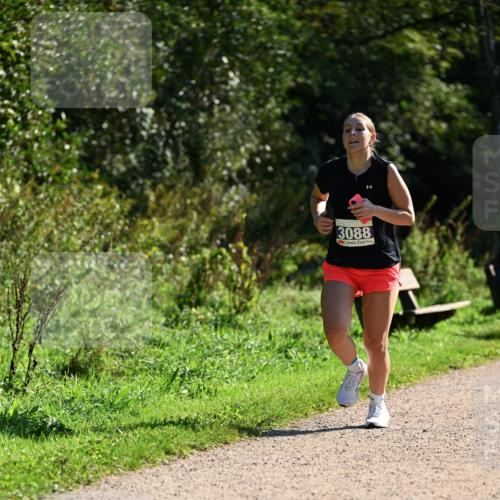 27.09.2026 - 35. Volkslauf durch das schöne Alstertal Dr. Thomas Lammeyer http://msf.ph/oto/10574910 27.09.2026 11:35:28 Laufen 3088 meine-sportfotos.de