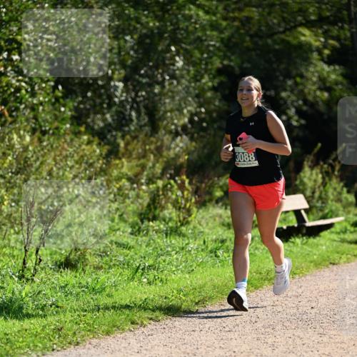 27.09.2026 - 35. Volkslauf durch das schöne Alstertal Dr. Thomas Lammeyer http://msf.ph/oto/10574911 27.09.2026 11:35:28 Laufen 3088 meine-sportfotos.de
