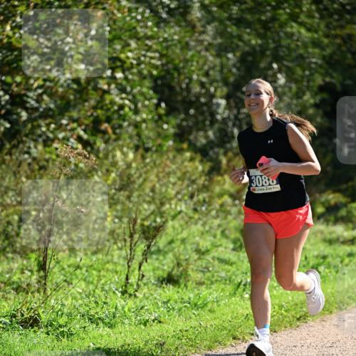 27.09.2026 - 35. Volkslauf durch das schöne Alstertal Dr. Thomas Lammeyer http://msf.ph/oto/10574918 27.09.2026 11:35:29 Laufen 3088 meine-sportfotos.de