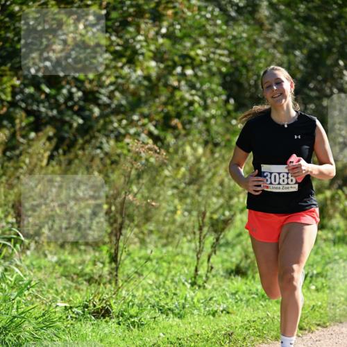 27.09.2026 - 35. Volkslauf durch das schöne Alstertal Dr. Thomas Lammeyer http://msf.ph/oto/10574922 27.09.2026 11:35:29 Laufen 3088 meine-sportfotos.de