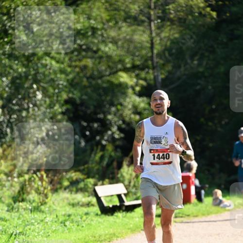 27.09.2026 - 35. Volkslauf durch das schöne Alstertal Dr. Thomas Lammeyer http://msf.ph/oto/10574937 27.09.2026 11:35:35 Laufen 1440 meine-sportfotos.de