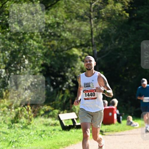 27.09.2026 - 35. Volkslauf durch das schöne Alstertal Dr. Thomas Lammeyer http://msf.ph/oto/10574938 27.09.2026 11:35:35 Laufen 1440 meine-sportfotos.de