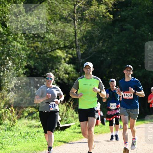 27.09.2026 - 35. Volkslauf durch das schöne Alstertal Dr. Thomas Lammeyer http://msf.ph/oto/10575013 27.09.2026 11:35:54 Laufen 314, 3170, 1459 meine-sportfotos.de