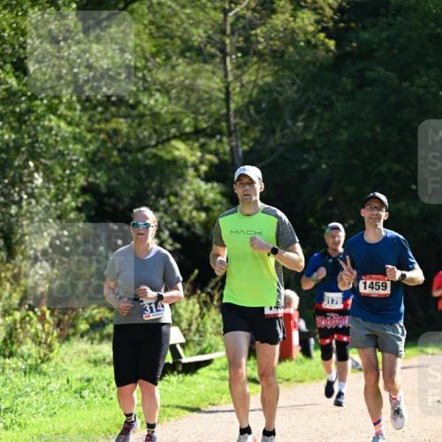 27.09.2026 - 35. Volkslauf durch das schöne Alstertal Dr. Thomas Lammeyer http://msf.ph/oto/10575014 27.09.2026 11:35:54 Laufen 314, 3170, 1459 meine-sportfotos.de