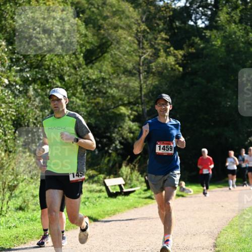 27.09.2026 - 35. Volkslauf durch das schöne Alstertal Dr. Thomas Lammeyer http://msf.ph/oto/10575023 27.09.2026 11:35:56 Laufen 1450, 1459 meine-sportfotos.de