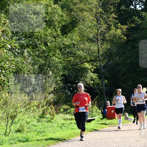 27.09.2026 - 35. Volkslauf durch das schöne Alstertal Dr. Thomas Lammeyer http://msf.ph/oto/10575056 27.09.2026 11:36:01 Laufen 3011, 3338, 3337 meine-sportfotos.de