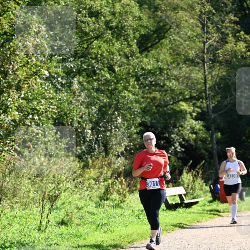 27.09.2026 - 35. Volkslauf durch das schöne Alstertal Dr. Thomas Lammeyer http://msf.ph/oto/10575064 27.09.2026 11:36:02 Laufen 3011, 3338 meine-sportfotos.de