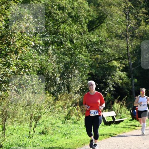 27.09.2026 - 35. Volkslauf durch das schöne Alstertal Dr. Thomas Lammeyer http://msf.ph/oto/10575065 27.09.2026 11:36:02 Laufen 3011, 3338 meine-sportfotos.de