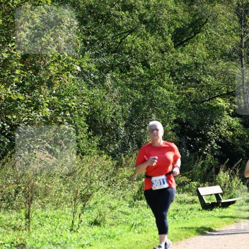 27.09.2026 - 35. Volkslauf durch das schöne Alstertal Dr. Thomas Lammeyer http://msf.ph/oto/10575071 27.09.2026 11:36:03 Laufen  meine-sportfotos.de