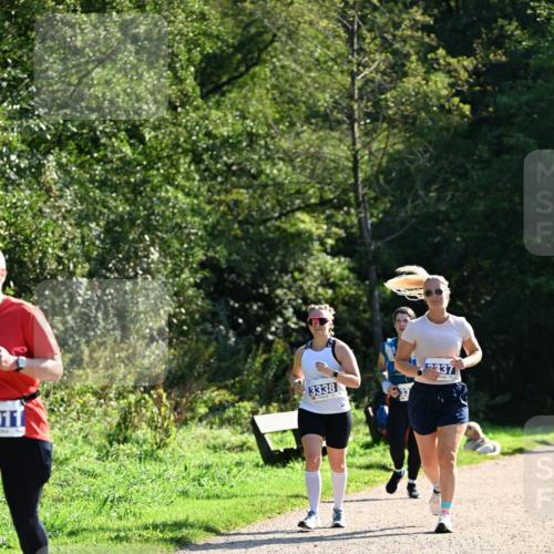 27.09.2026 - 35. Volkslauf durch das schöne Alstertal Dr. Thomas Lammeyer http://msf.ph/oto/10575076 27.09.2026 11:36:04 Laufen 11, 3338, 337 meine-sportfotos.de