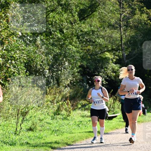 27.09.2026 - 35. Volkslauf durch das schöne Alstertal Dr. Thomas Lammeyer http://msf.ph/oto/10575084 27.09.2026 11:36:04 Laufen 3338, 3337 meine-sportfotos.de