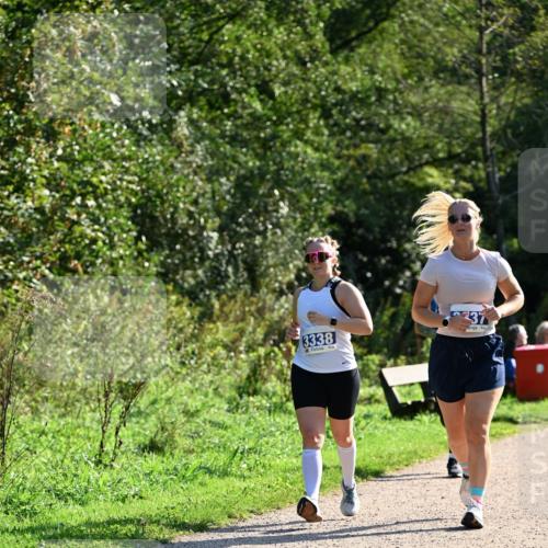 27.09.2026 - 35. Volkslauf durch das schöne Alstertal Dr. Thomas Lammeyer http://msf.ph/oto/10575091 27.09.2026 11:36:05 Laufen 3338, 37 meine-sportfotos.de