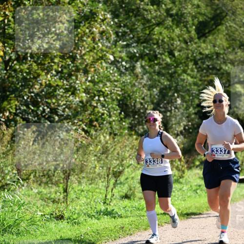 27.09.2026 - 35. Volkslauf durch das schöne Alstertal Dr. Thomas Lammeyer http://msf.ph/oto/10575099 27.09.2026 11:36:06 Laufen 3338, 3337 meine-sportfotos.de