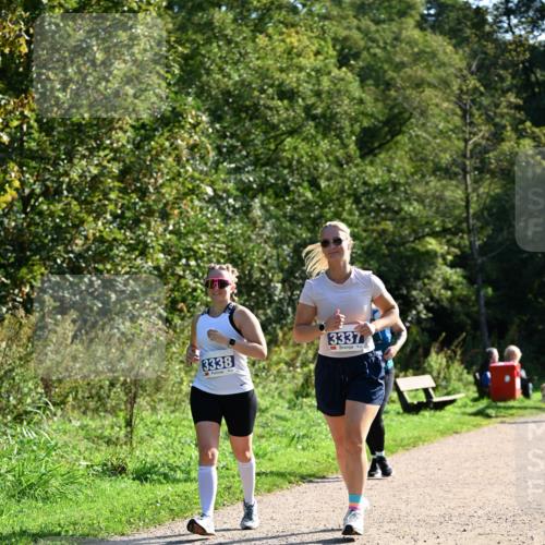 27.09.2026 - 35. Volkslauf durch das schöne Alstertal Dr. Thomas Lammeyer http://msf.ph/oto/10575100 27.09.2026 11:36:06 Laufen 3338, 3337 meine-sportfotos.de