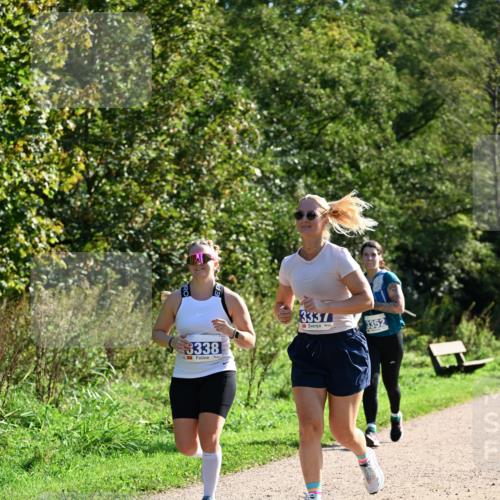 27.09.2026 - 35. Volkslauf durch das schöne Alstertal Dr. Thomas Lammeyer http://msf.ph/oto/10575105 27.09.2026 11:36:07 Laufen 3338, 3337, 3352 meine-sportfotos.de