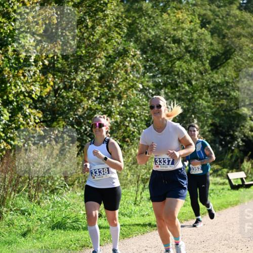 27.09.2026 - 35. Volkslauf durch das schöne Alstertal Dr. Thomas Lammeyer http://msf.ph/oto/10575106 27.09.2026 11:36:07 Laufen 3338, 3337, 3352 meine-sportfotos.de