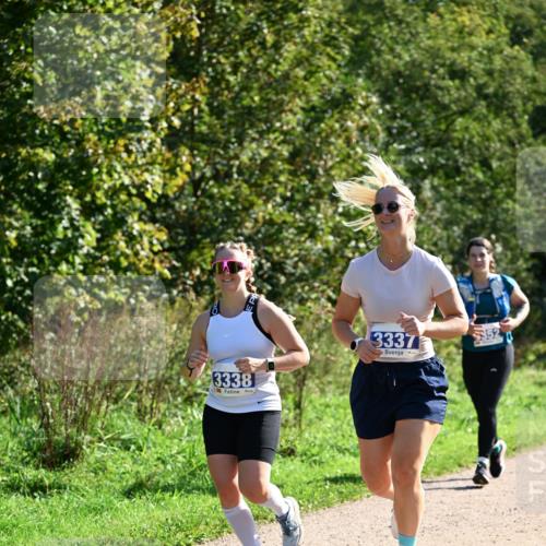27.09.2026 - 35. Volkslauf durch das schöne Alstertal Dr. Thomas Lammeyer http://msf.ph/oto/10575109 27.09.2026 11:36:07 Laufen 3338, 3337 meine-sportfotos.de
