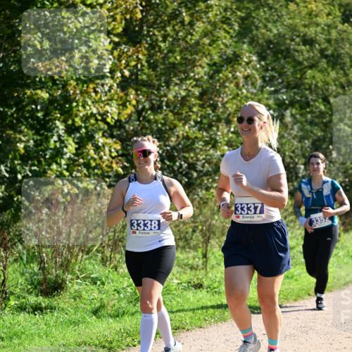 27.09.2026 - 35. Volkslauf durch das schöne Alstertal Dr. Thomas Lammeyer http://msf.ph/oto/10575110 27.09.2026 11:36:07 Laufen 3338, 3337, 3352 meine-sportfotos.de
