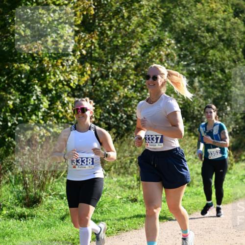 27.09.2026 - 35. Volkslauf durch das schöne Alstertal Dr. Thomas Lammeyer http://msf.ph/oto/10575112 27.09.2026 11:36:08 Laufen 3338, 3337, 3352 meine-sportfotos.de