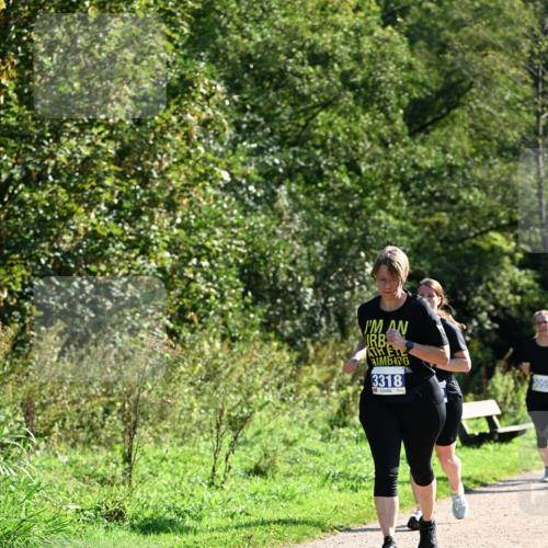 27.09.2026 - 35. Volkslauf durch das schöne Alstertal Dr. Thomas Lammeyer http://msf.ph/oto/10575136 27.09.2026 11:36:12 Laufen 3318 meine-sportfotos.de