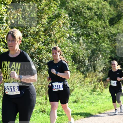 27.09.2026 - 35. Volkslauf durch das schöne Alstertal Dr. Thomas Lammeyer http://msf.ph/oto/10575151 27.09.2026 11:36:15 Laufen 3318, 3419, 3055 meine-sportfotos.de