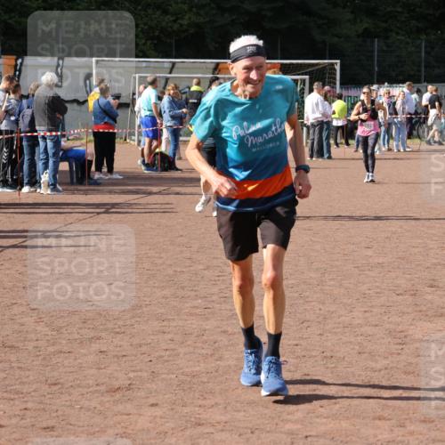 27.09.2026 - 35. Volkslauf durch das schöne Alstertal Strokosch-Dieckow http://msf.ph/oto/10575158 27.09.2026 12:34:42 Ziel 2029, 2252, 2263, 2389 meine-sportfotos.de