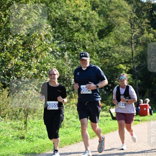 27.09.2026 - 35. Volkslauf durch das schöne Alstertal Dr. Thomas Lammeyer http://msf.ph/oto/10575161 27.09.2026 11:36:16 Laufen 3055, 3054, 3084 meine-sportfotos.de
