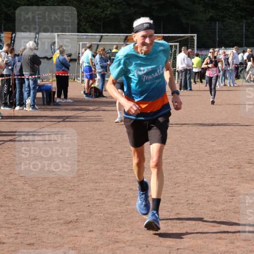 27.09.2026 - 35. Volkslauf durch das schöne Alstertal Strokosch-Dieckow http://msf.ph/oto/10575162 27.09.2026 12:34:42 Ziel 2029, 2252, 2263, 2389 meine-sportfotos.de