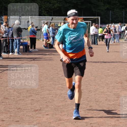 27.09.2026 - 35. Volkslauf durch das schöne Alstertal Strokosch-Dieckow http://msf.ph/oto/10575167 27.09.2026 12:34:42 Ziel 2029, 2252, 2263, 2389 meine-sportfotos.de