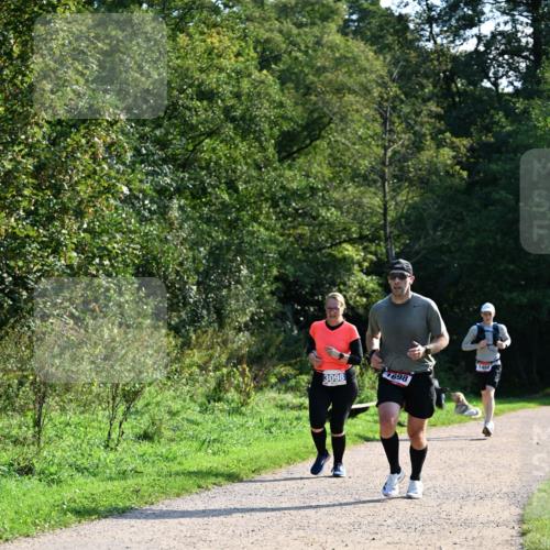 27.09.2026 - 35. Volkslauf durch das schöne Alstertal Dr. Thomas Lammeyer http://msf.ph/oto/10575177 27.09.2026 11:36:24 Laufen 3098, 698 meine-sportfotos.de