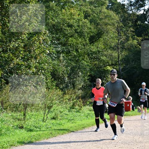 27.09.2026 - 35. Volkslauf durch das schöne Alstertal Dr. Thomas Lammeyer http://msf.ph/oto/10575180 27.09.2026 11:36:25 Laufen 3098, 1698, 1458 meine-sportfotos.de