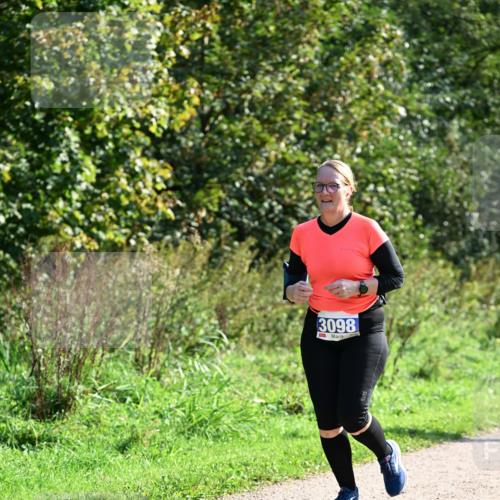 27.09.2026 - 35. Volkslauf durch das schöne Alstertal Dr. Thomas Lammeyer http://msf.ph/oto/10575192 27.09.2026 11:36:27 Laufen 3098 meine-sportfotos.de