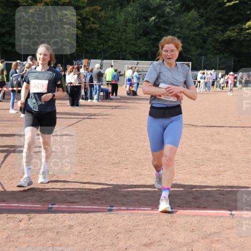 27.09.2026 - 35. Volkslauf durch das schöne Alstertal Strokosch-Dieckow http://msf.ph/oto/10575202 27.09.2026 12:34:47 Ziel 2029, 2252, 2263, 2389 meine-sportfotos.de
