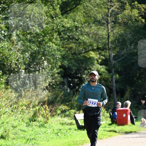 27.09.2026 - 35. Volkslauf durch das schöne Alstertal Dr. Thomas Lammeyer http://msf.ph/oto/10575224 27.09.2026 11:36:37 Laufen 3273 meine-sportfotos.de