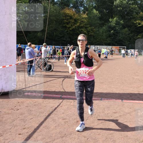 27.09.2026 - 35. Volkslauf durch das schöne Alstertal Strokosch-Dieckow http://msf.ph/oto/10575240 27.09.2026 12:34:51 Ziel 2029, 2030, 2252, 2263 meine-sportfotos.de