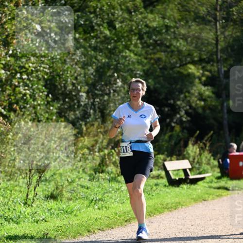 27.09.2026 - 35. Volkslauf durch das schöne Alstertal Dr. Thomas Lammeyer http://msf.ph/oto/10575288 27.09.2026 11:36:56 Laufen 018 meine-sportfotos.de