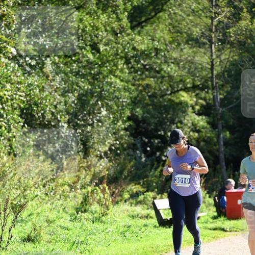 27.09.2026 - 35. Volkslauf durch das schöne Alstertal Dr. Thomas Lammeyer http://msf.ph/oto/10575297 27.09.2026 11:37:12 Laufen 3010, 38 meine-sportfotos.de