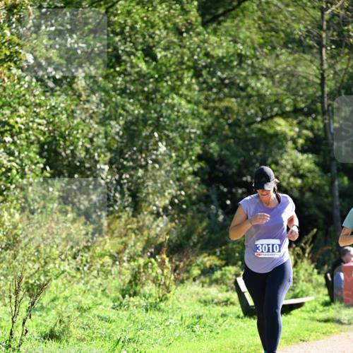 27.09.2026 - 35. Volkslauf durch das schöne Alstertal Dr. Thomas Lammeyer http://msf.ph/oto/10575299 27.09.2026 11:37:12 Laufen 3010 meine-sportfotos.de